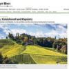 Herbst in der Steiermark: Wein, Österreichisches Kürbiskernöl und Klapotetz